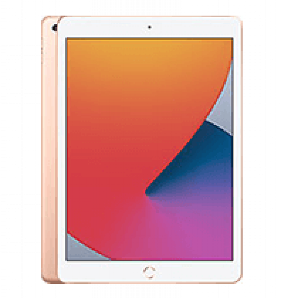 APPLE iPad 10.2 256GB Wifi Cellular 2021 9th gen