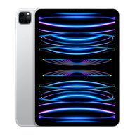 APPLE iPad Pro 11 1TB WIFI Cellular 2022 4th gen