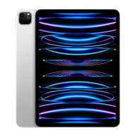APPLE iPad Pro 11 1TB Wifi Only 2022 4th gen